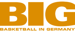 BIG LOGO