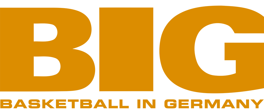 BIG LOGO